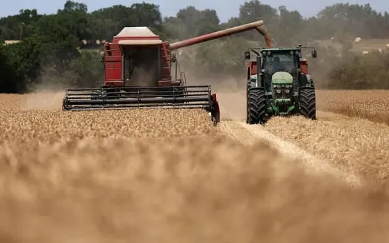 Wheat futures surge as Black Sea attacks disrupt grain exports