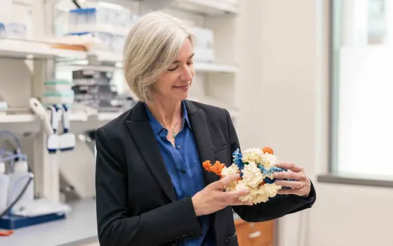 Doudna team uses AI to design novel CRISPR-like enzymes