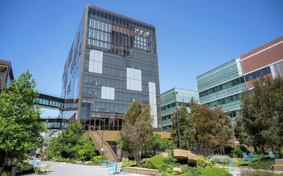 OpenAI confirms GPT-5.6 Sol deletes user files
